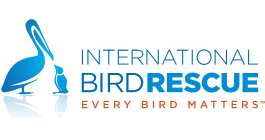 International Bird Rescue Research Center